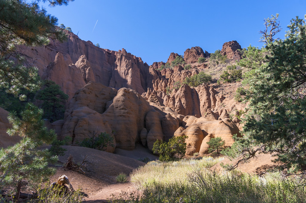 A quiet trail winding between trees and warm sandstone cliffs
